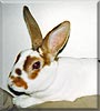 Smudge