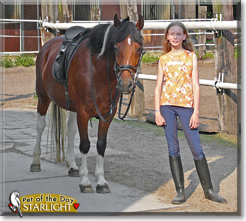 Starlight, the Pet of the Day Starlight, the Pet of the Day