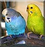 Max, Charlie