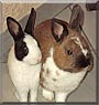 Louis, Louise