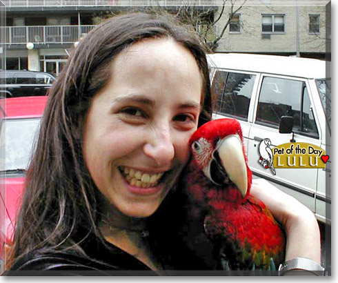 Lulu, the Pet of the Day Lulu, the Pet of the Day