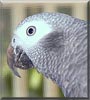 Rosie