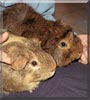 Max, Moritz