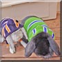 Dudley, Pippen