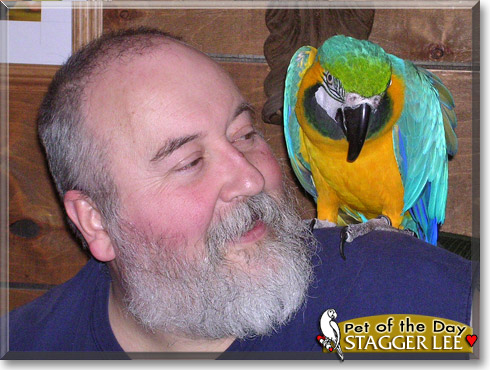 Stagger Lee, the Pet of the Day Stagger Lee, the Pet of the Day