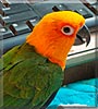 Tango