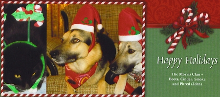 Merry Christmas from Cinder, Smokey, and Boots