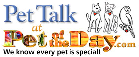 Pet Talk - Powered by vBulletin