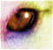 cyber-sibes's Avatar