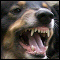 BC_MoM's Avatar