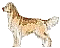 Dixieland Dancer's Avatar