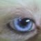 Candy317's Avatar