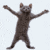 aTailOf2Kitties's Avatar