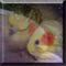 popcornbird's Avatar