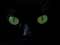 boscibo's Avatar