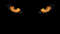 Terminalvelocity's Avatar
