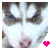 tikeyas_mom's Avatar
