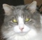 Prairie Purrs's Avatar