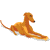 shais_mom's Avatar