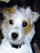 ktreva52's Avatar