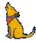 K9soul's Avatar