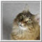 AbbyMom's Avatar
