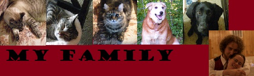 http://petoftheday.com/talk/image.php?type=sigpic&userid=32038&dateline=129651  4765
